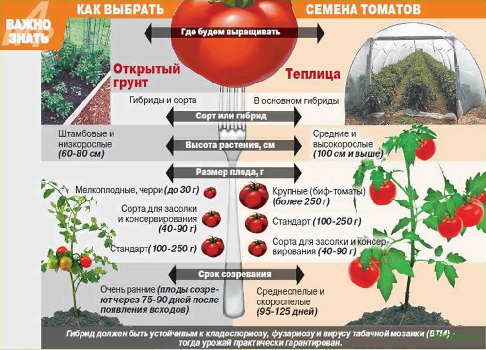 Как вырастить здоровую и сильную рассаду помидоров и перцев