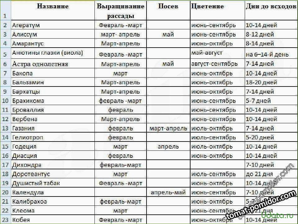 Полный список цветов и овощей, которые можно посеять на рассаду в марте