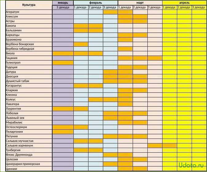Полный список цветов и овощей, которые можно посеять на рассаду в марте