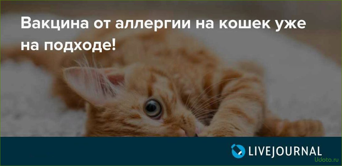 Ученые обещают создать вакцину от аллергии на кошек