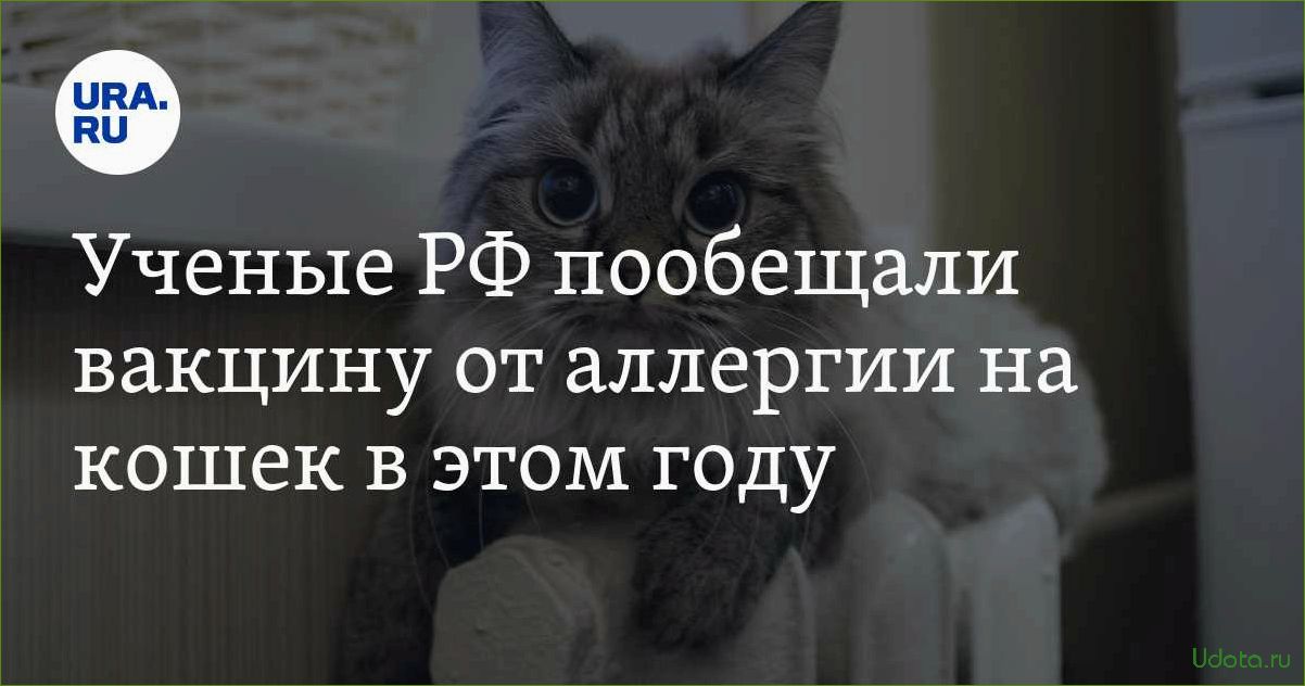 Ученые обещают создать вакцину от аллергии на кошек