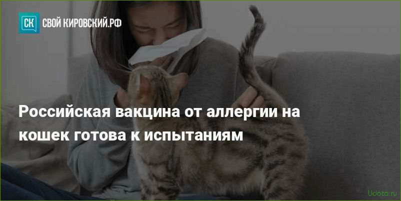 Ученые обещают создать вакцину от аллергии на кошек