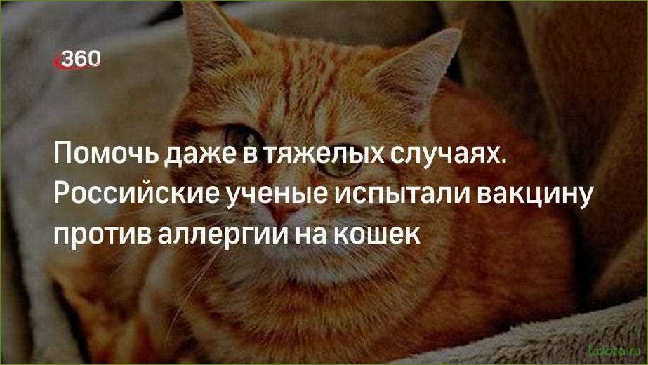 Ученые обещают создать вакцину от аллергии на кошек