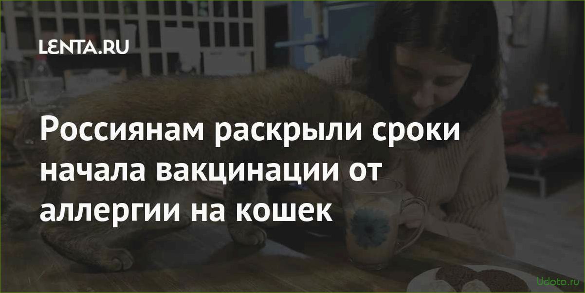 Ученые обещают создать вакцину от аллергии на кошек