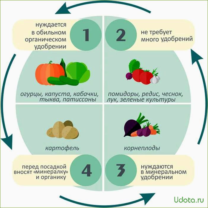 Что сажать в теплице? Круговорот культур