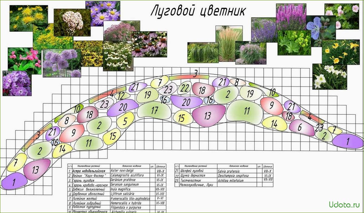 Идеальный цветник с зонтичными растениями: подробный эскиз и рекомендации по выбору и уходу за растениями