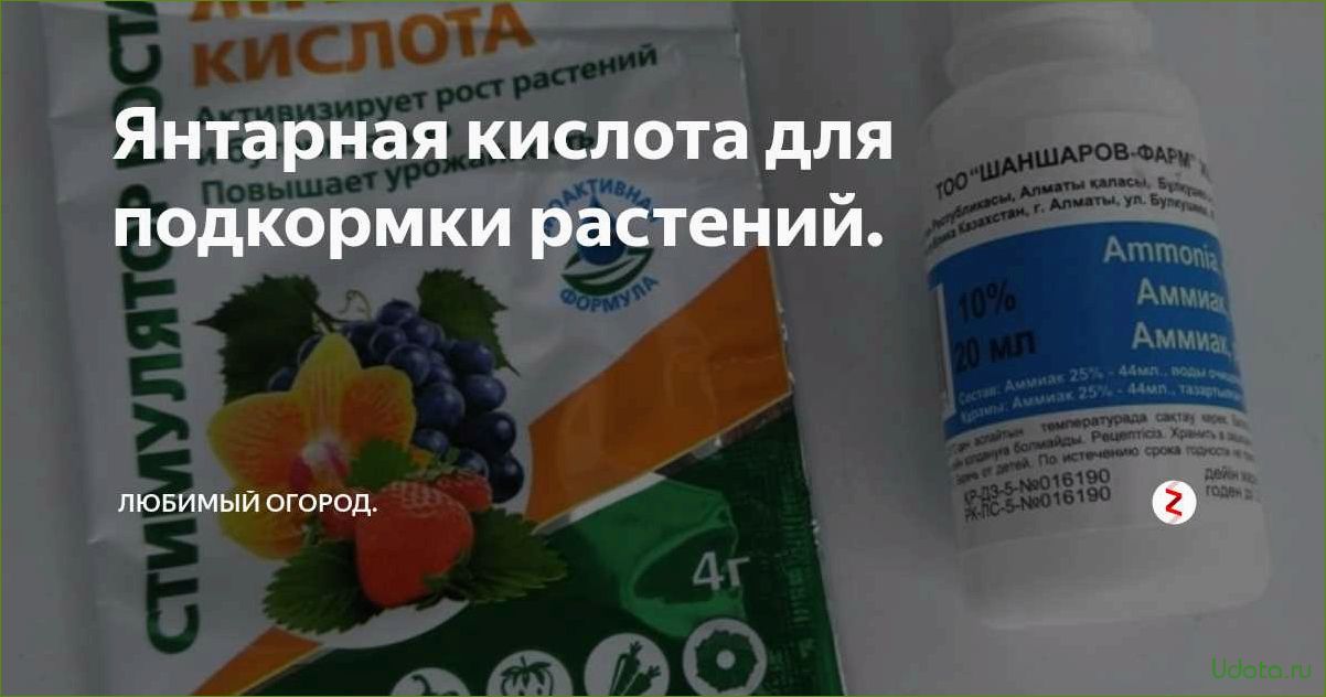 Янтарная кислота: секреты применения в саду, в огороде и дома