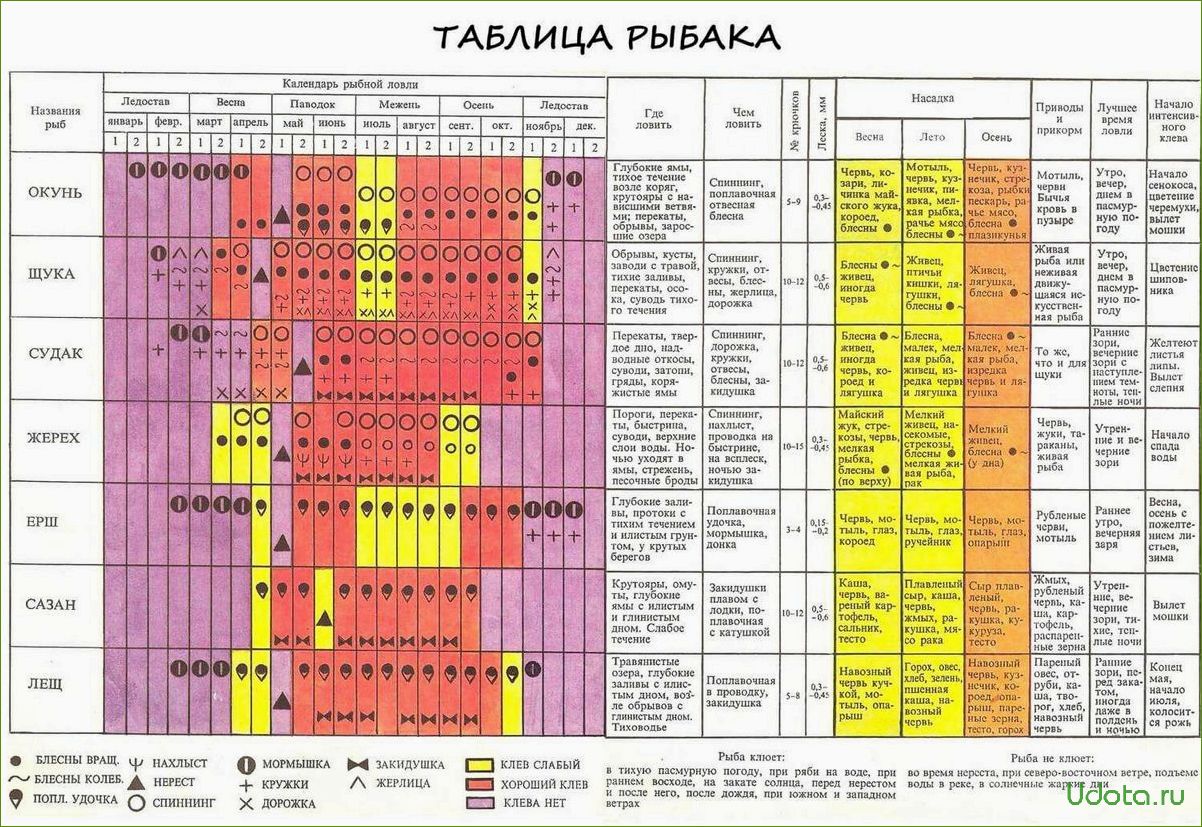 Щучка: календарь ухода