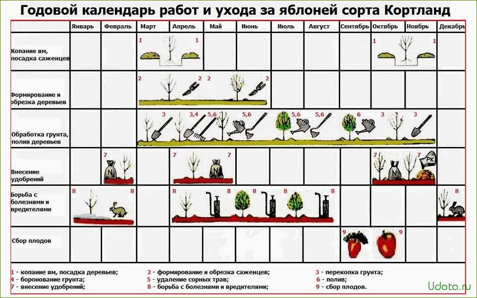 Щучка: календарь ухода