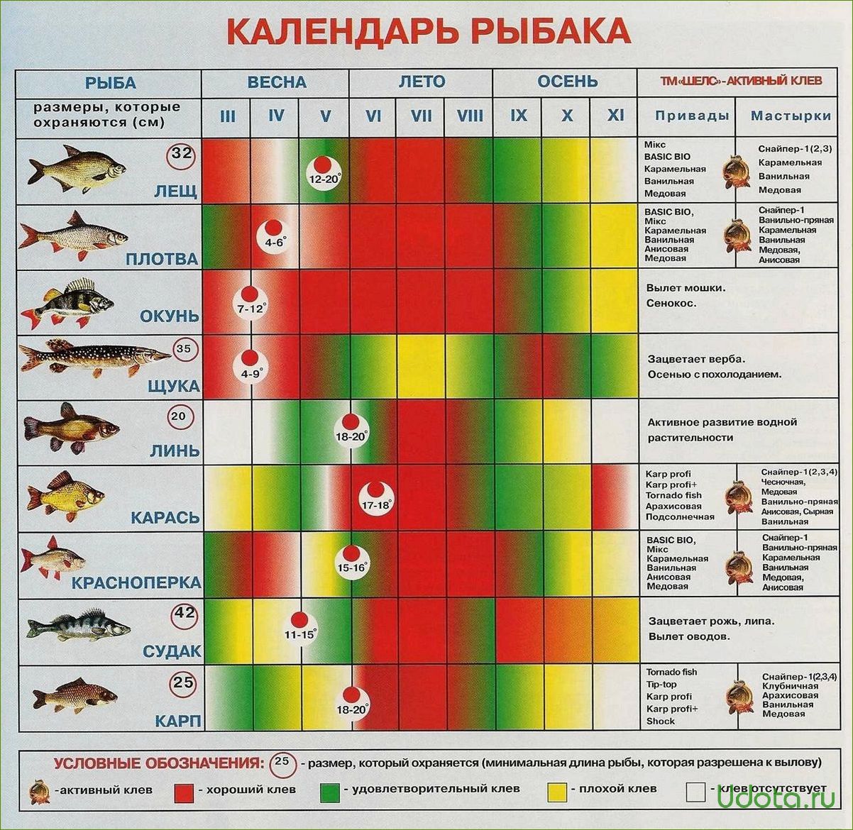 Щучка: календарь ухода