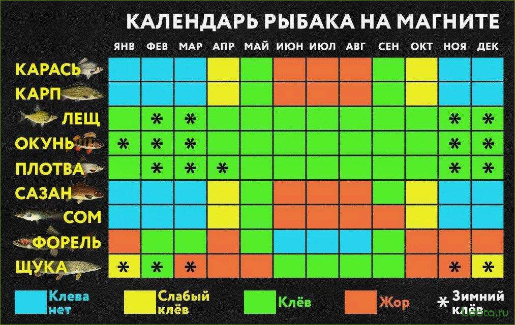 Щучка: календарь ухода