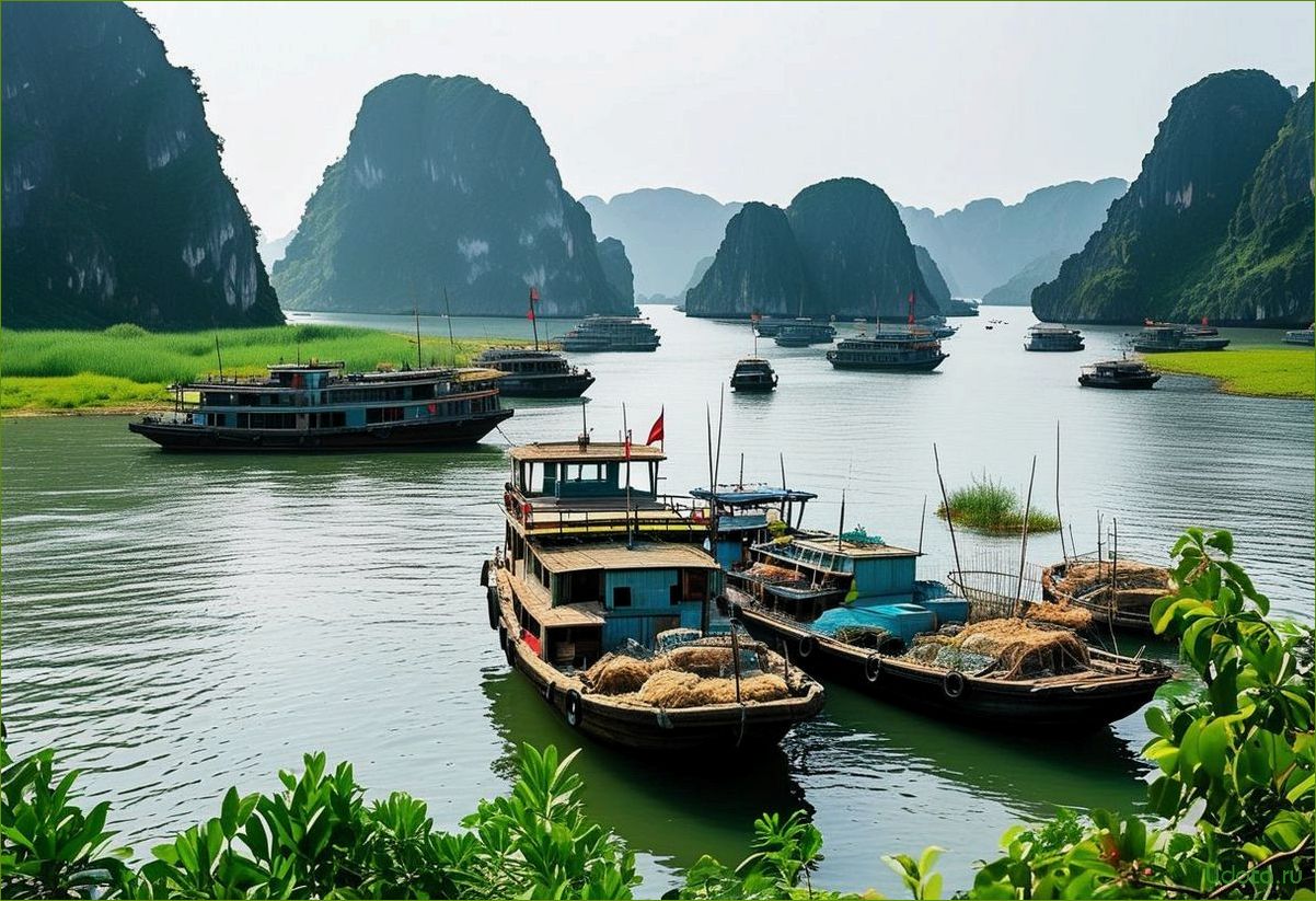 (турагентство, удобного, подбора, бронирования, зарубежных) Турагентство для удобного подбора и бронирования зарубежных туров по выгодным ценам без переплат