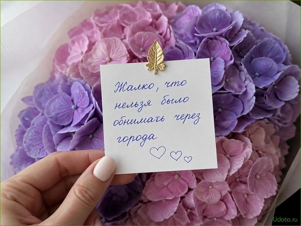 () Что написать в открытке к букету цветов: готовые тексты, идеи и правила этикета